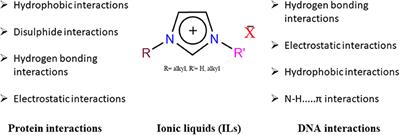 Use of Ionic Liquids in Protein and DNA Chemistry